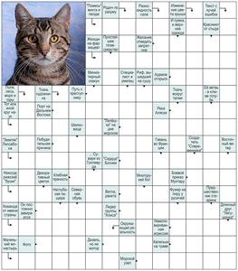 Всегда сканворд 6 букв. Сканворд с рисунком рыжего кота. Сканворд рыжий кот номер 5 2022г стр12. Родина тайских кошек сканворд. Порода домашних кошек 5 букв сканворд на букву м.